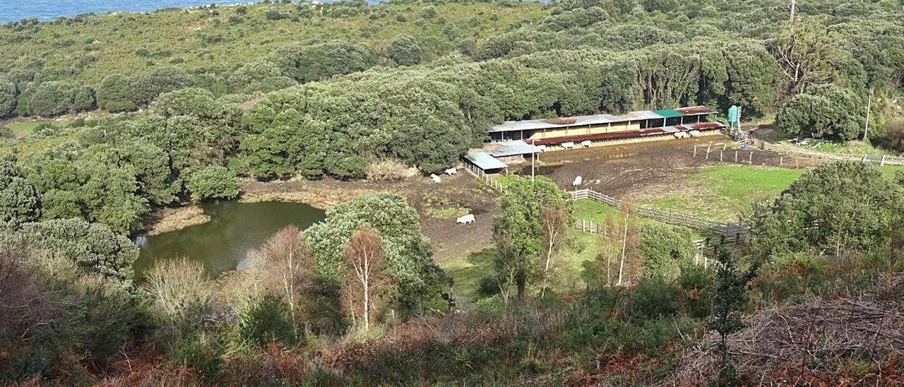 La zona de estabulación, anexa a una charca, en la rasa de Tronía, en el área de El Pindal. | R. E. S. R.