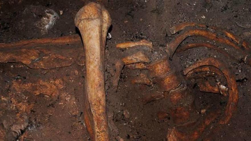 Alguns dels ossos dels quals s&#039;ha extret l&#039;ADN.