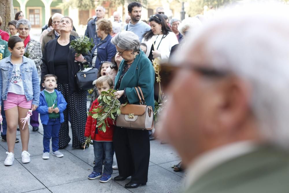 Domingo de Ramos en Avilés