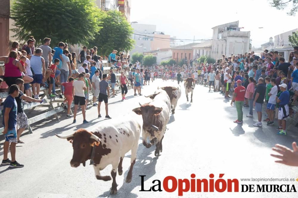 Encierro 'pequeño' en Calasparra