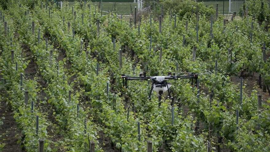Dron agrícola en una exhibición de estos aparatos realizada en el Ribeiro ourensano. // Enzo Sarmiento
