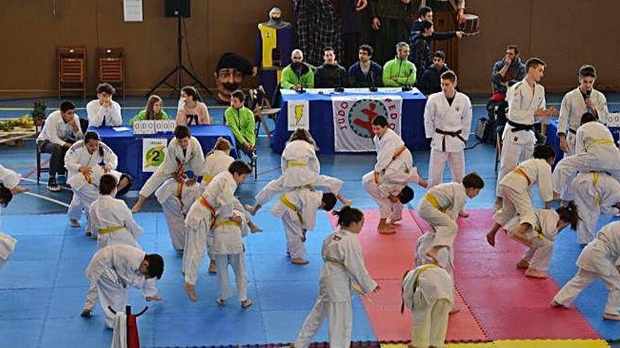 El pavelló Rafa Martínez s&#039;omplirà diumenge al matí de joves judokes del país i de fora