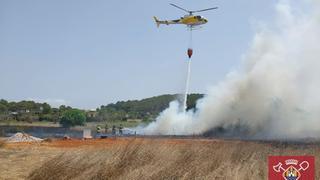 Bomberos e Ibanat extinguen un incendio agrícola cerca de Santa Gertrudis