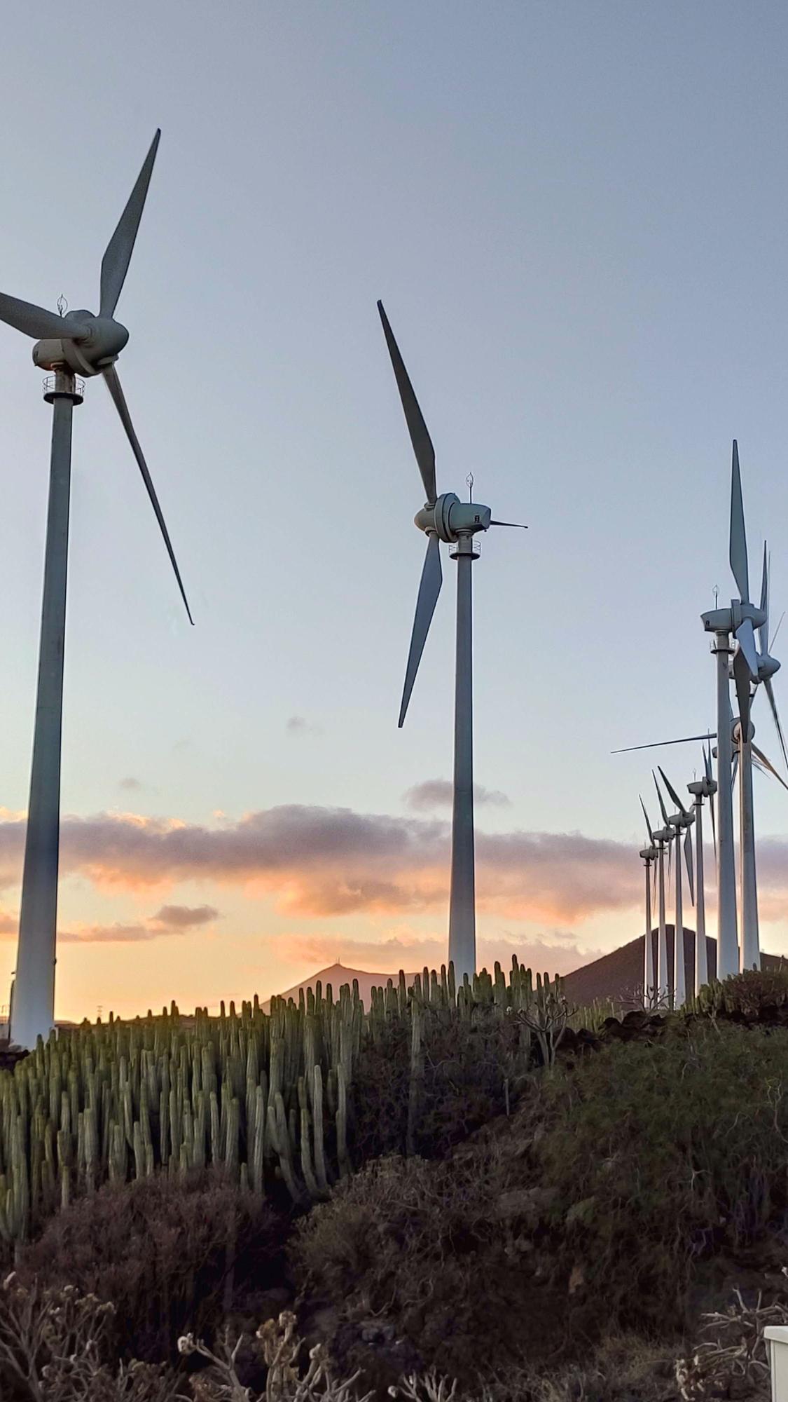 Algunos de los aerogeneradores del sur de Tenerife.