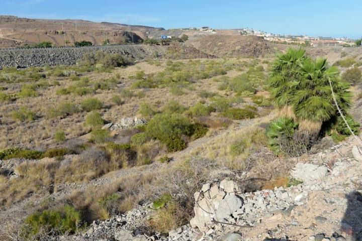 Terrenos en El Veril, donde se va a construir el Siam Park