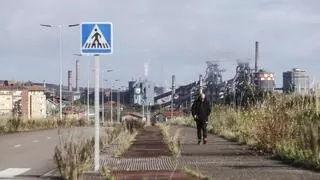 La subestación eléctrica de la Zalia estará en 2028 "a tiempo para Sunwafe", defiende el Principado