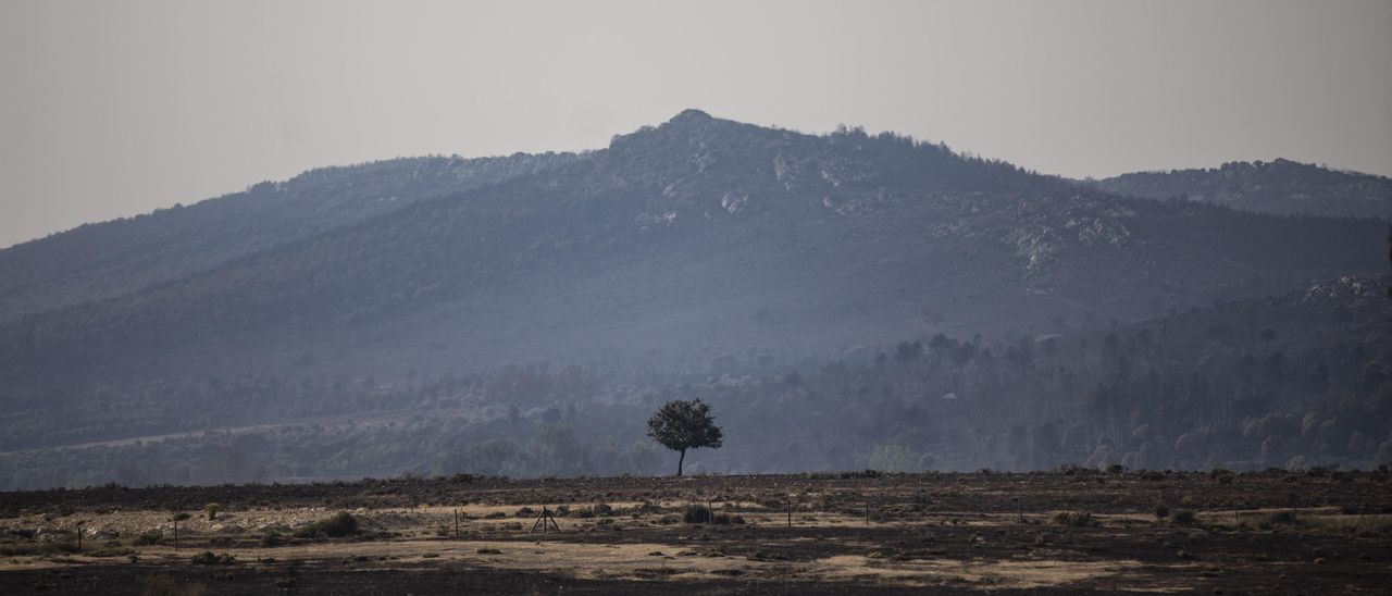 Zamora, calcinada tras los incendios en Sierra de la Culebra.