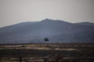 In memoriam de la España Calcinada