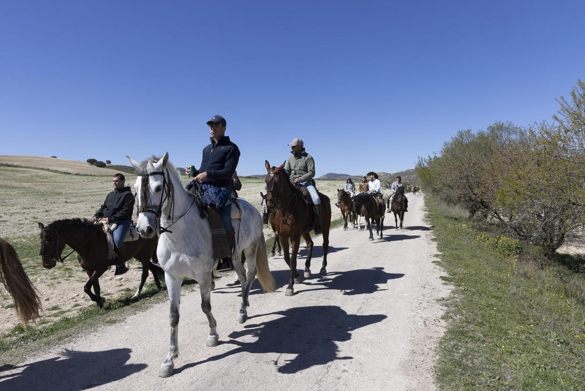Un numeroso grupo de caballos acompañaron el rebaño