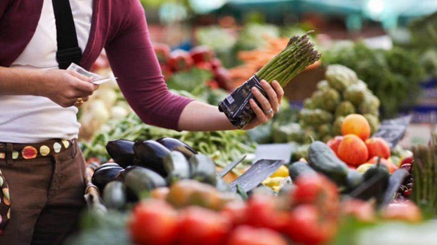 Dietas basadas solo en productos vegetales