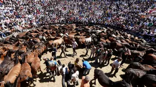 La Rapa das Bestas de Sabucedo se despide con aforo completo
