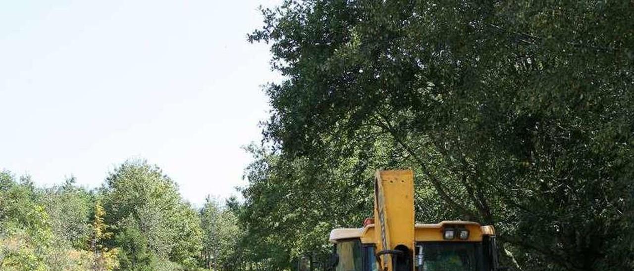 Una de las máquinas de obras, en el área recreativa. // Bernabé/Adrián Rei