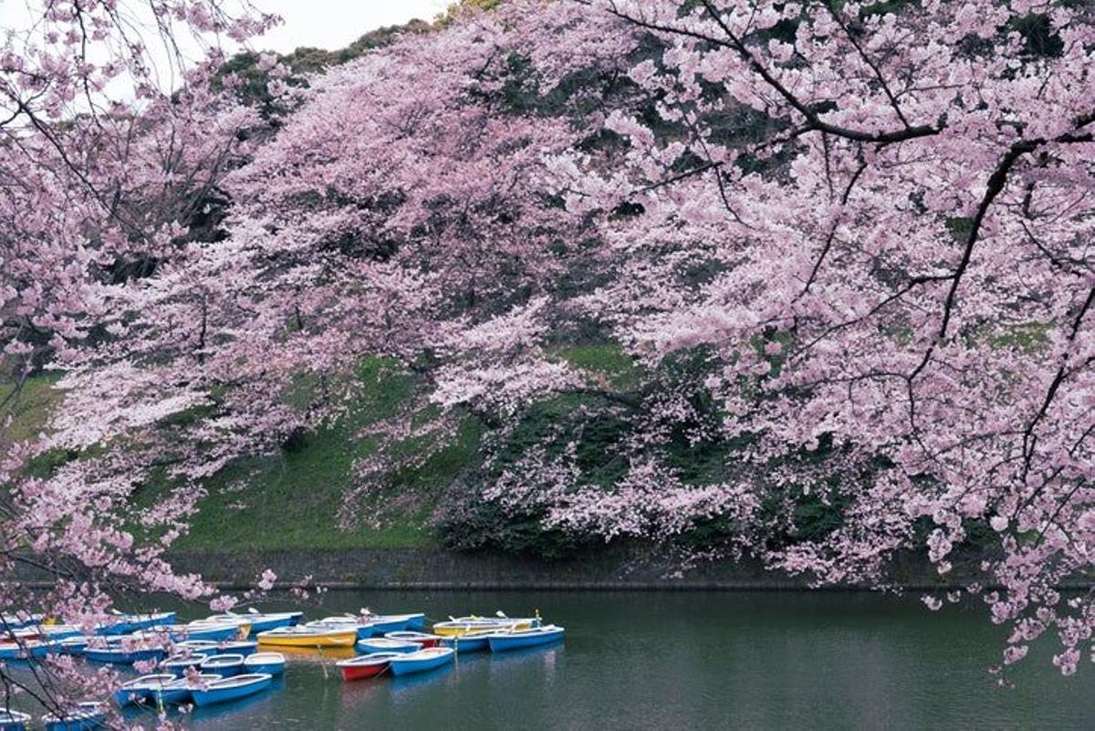 Chidorigafuchi