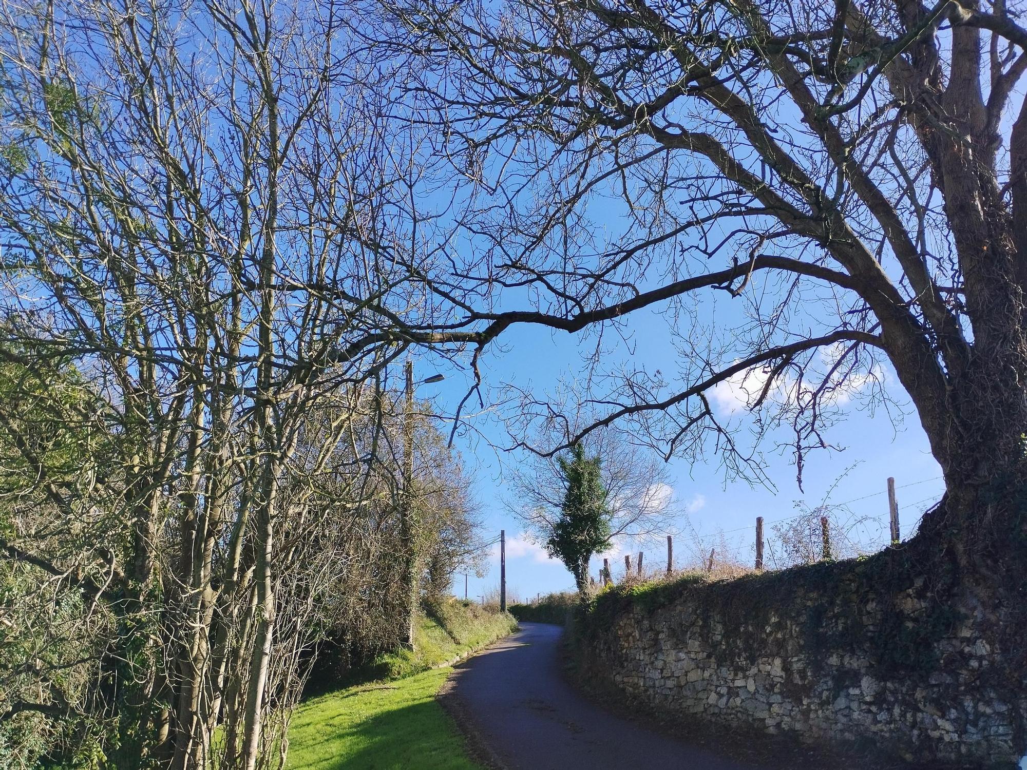 La ruta circular de Pruvia desde la urbanización de Soto de Llanera, en imágenes