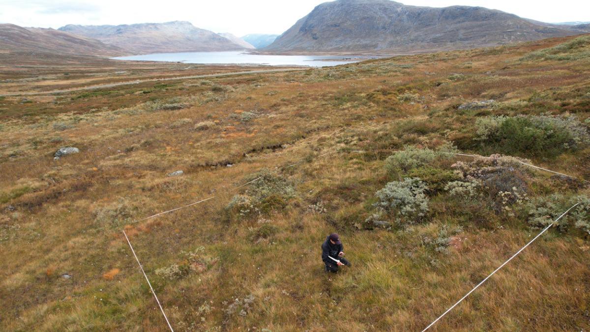 Este sitio en Noruega es una de las 5.500 áreas de estudio analizadas en todo el mundo durante la investigación.