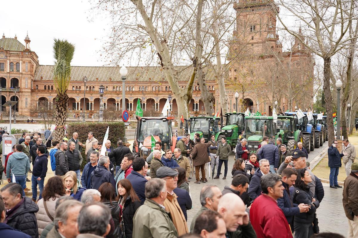 Protestas en la Plaza de España. Protestas en la Plaza de España.