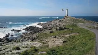 Corme, el santuario gallego de los mejores percebes del mundo