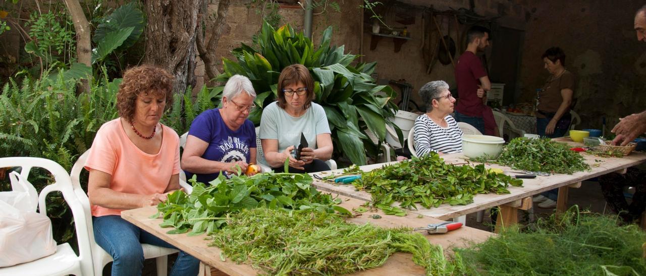 Immer Anfang Juni kommen die Freunde von Can Planetes zusammen. Jeder bringt frisch gepflückte Kräuter aus Wald und Garten mit.