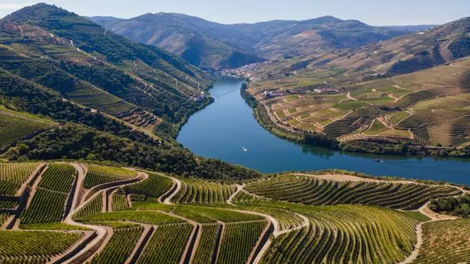 La Linha do Douro, el viaje en tren que se adentra en el gran paisaje del vino de Portugal