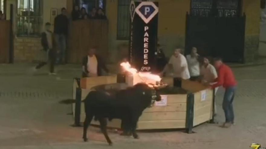 Vídeo: La aparatosa cogida en los &#039;bous al carrer&#039; en la Vall d&#039;Uixó