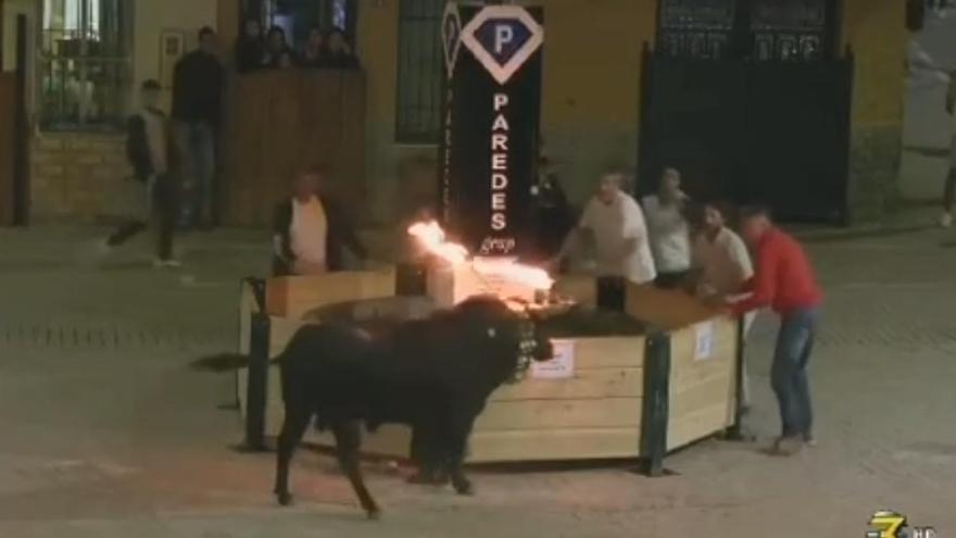 La Vall acaba sus primeras fiestas de bous al carrer con un nuevo ‘susto’