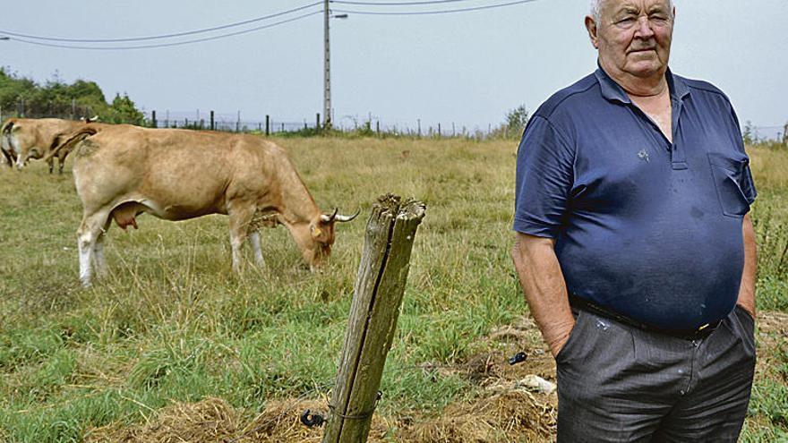 La ganadería pierde terreno