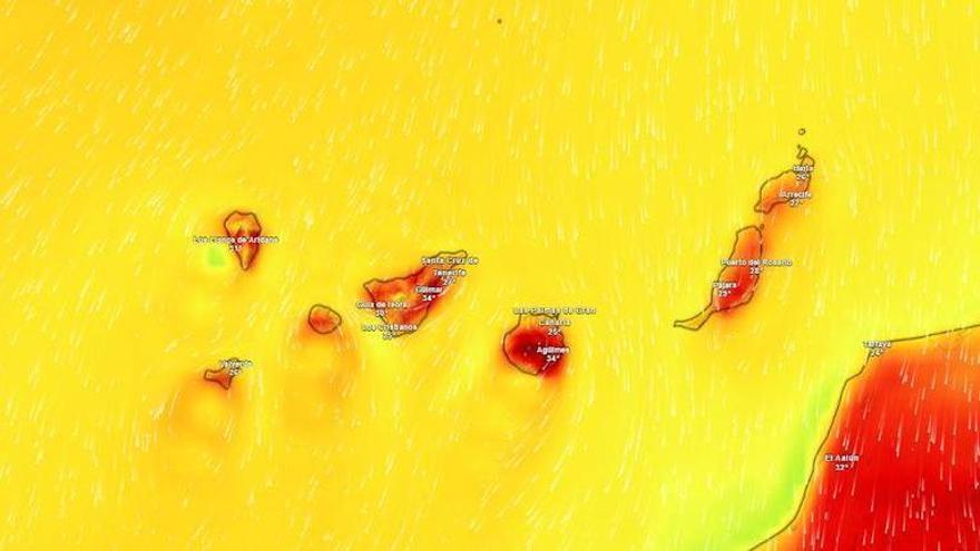 Canary Islands Issue Heat and Wind Alerts as Temperatures Climb to 37°C