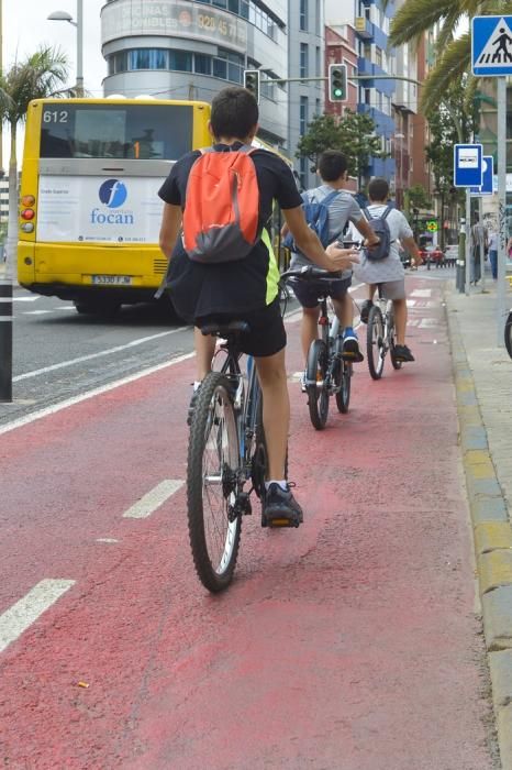 Sitycleta, carriles bici y usuarios