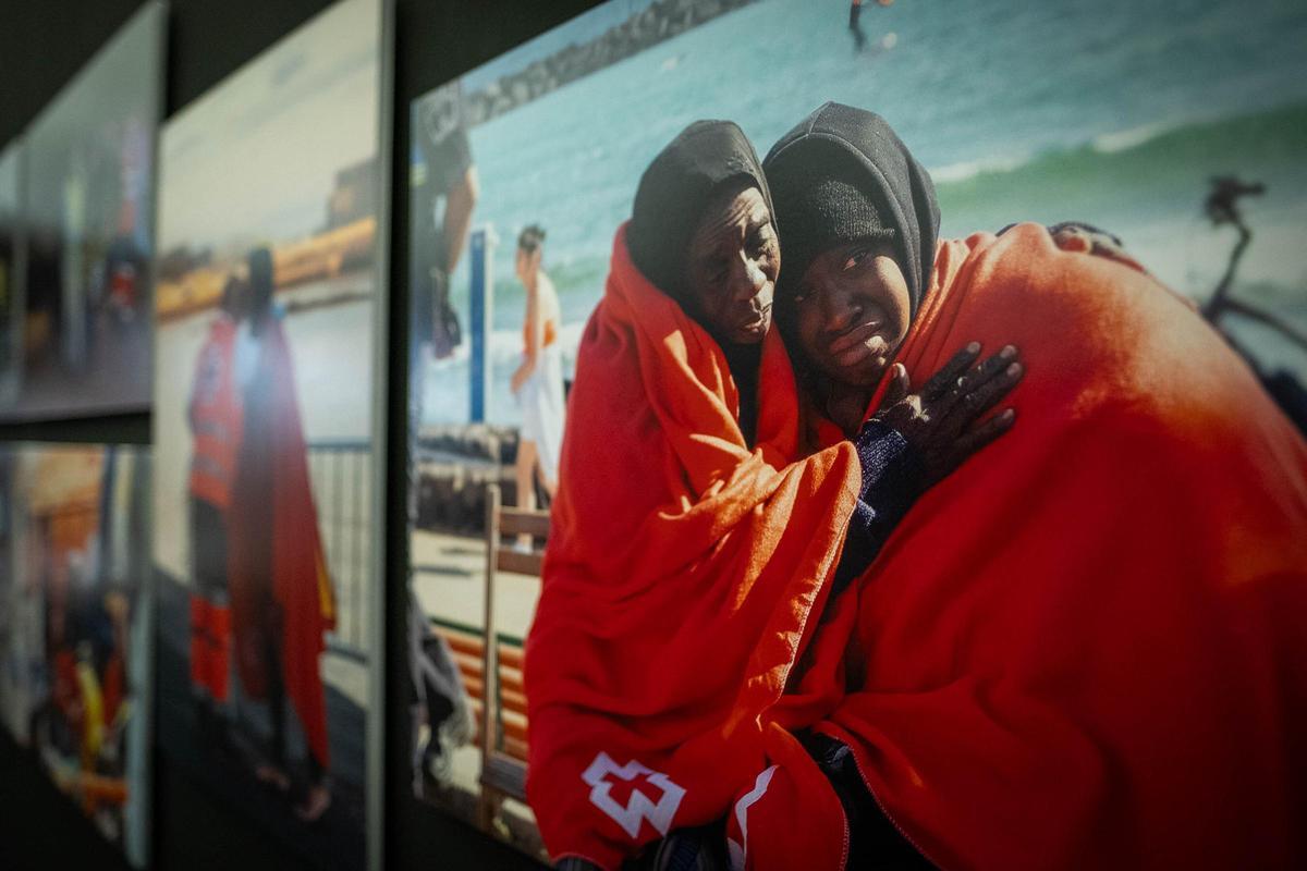 Varias imágenes de la serie conformada a partir del trabajo de 15 fotoperiodistas.