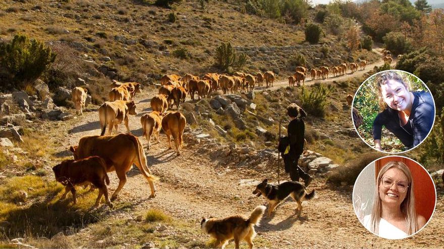 Récord de empleo ‘rural’ juvenil en Castellón con 2.600 ocupados menores de 30 años