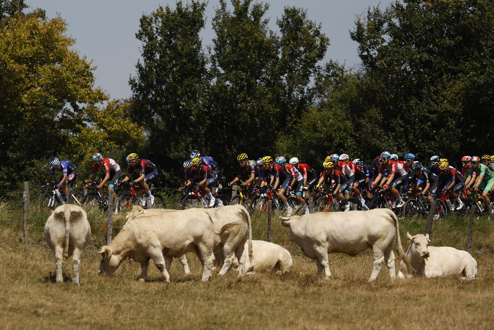 Tour de France