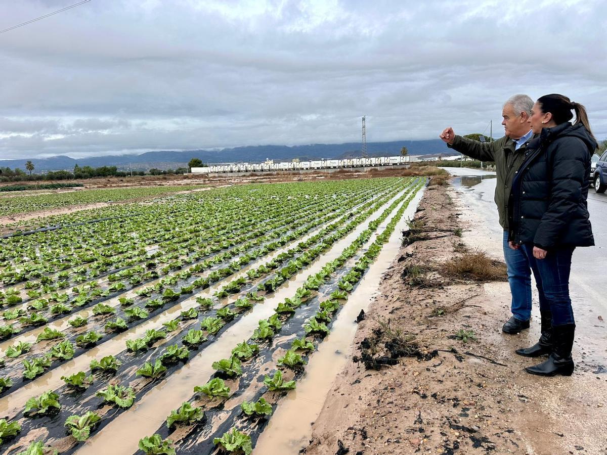 La consejera Sara Rubira junto al alcalde de Totana, Juan Pagan, en uno de los campos de hortalizas anegados por las lluvias en diciembre de 2025.