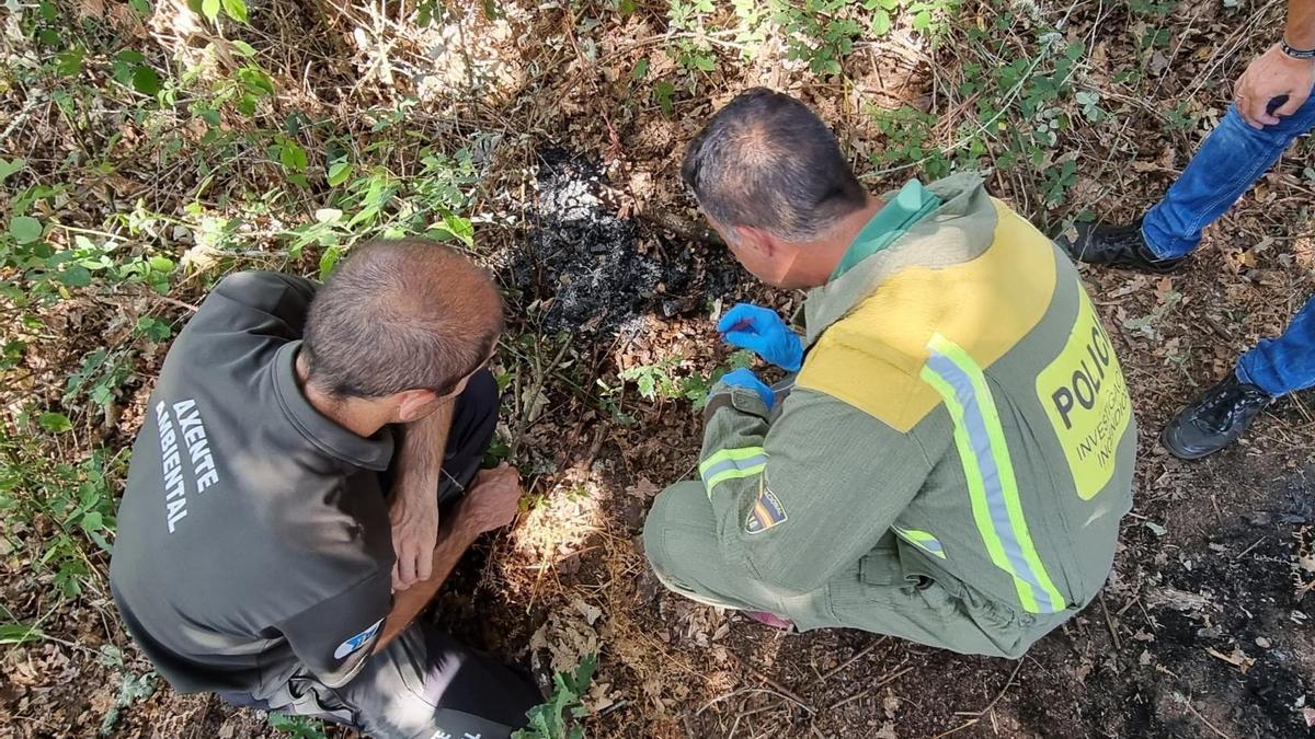 Una mujer identificada cuando llevaba pastillas de encendido y un mechero para presuntamente prender fuego en un monte de Amoeiro (Ourense).