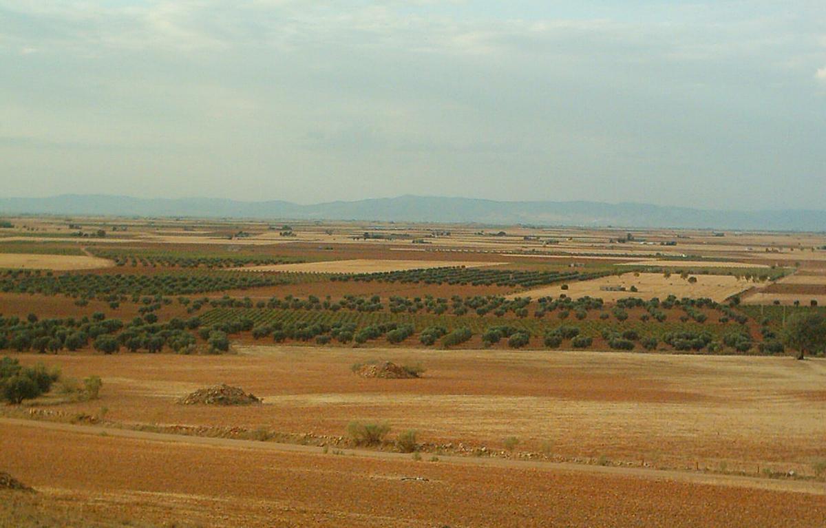 Campo de calatrava
