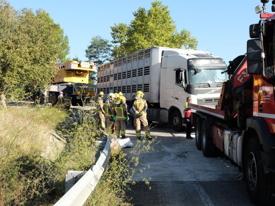 Bolca un camió carregat de porcs a Bàscara