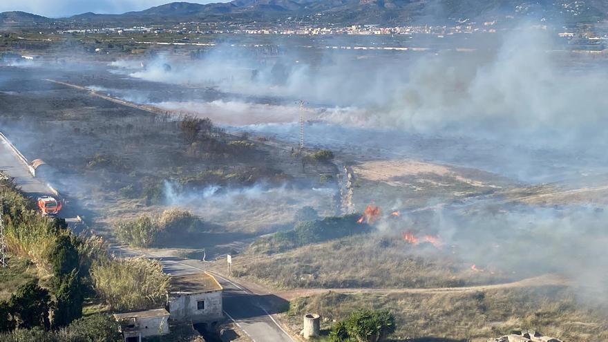 Declarado un incendio forestal en el marjal del Puig próximo a viviendas
