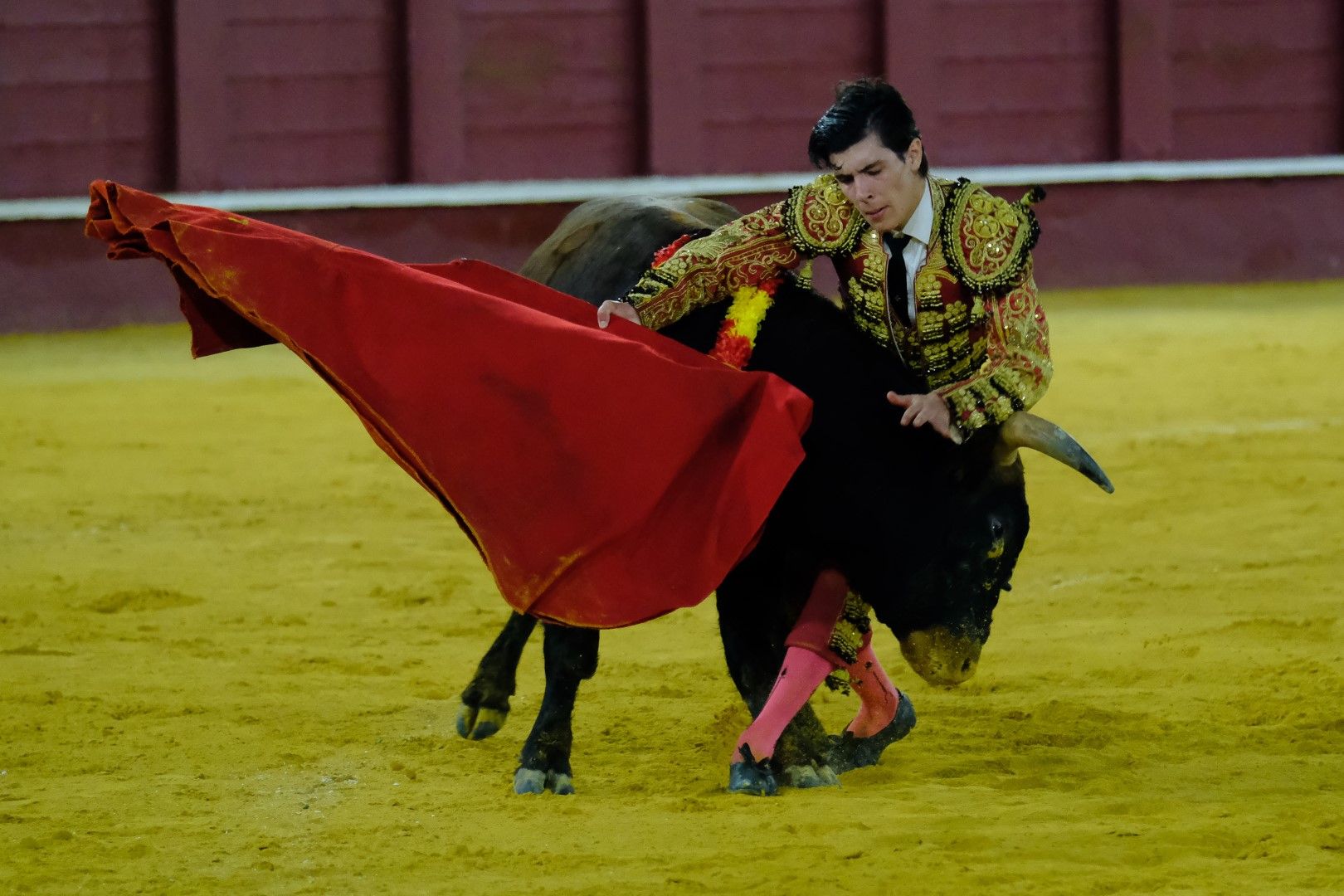 XVI Certamen Internacional de Escuelas Taurinas La Malagueta