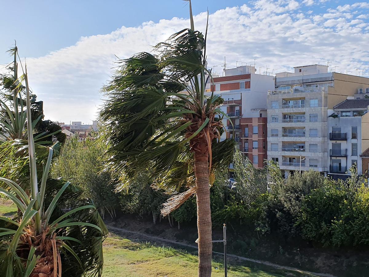 Rachas de viento en Paiporta esta tarde.