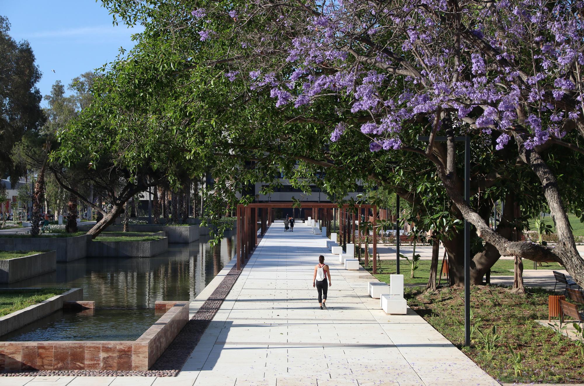 Abre el público el Parque de Martiricos