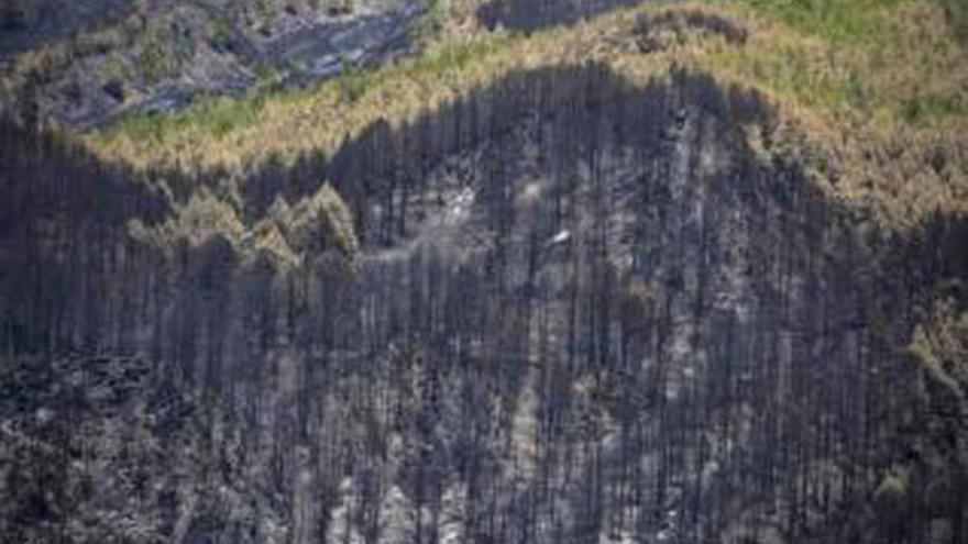 El incendio de La Palma se considera controlado tras nueve días de avance