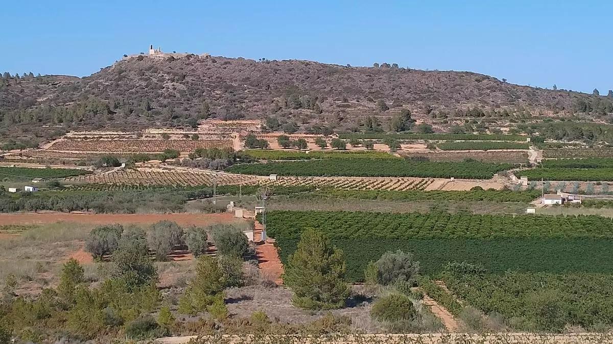 Terrenos sobre los que se proyectaba la macrocental solar, en una imagen de archivo.