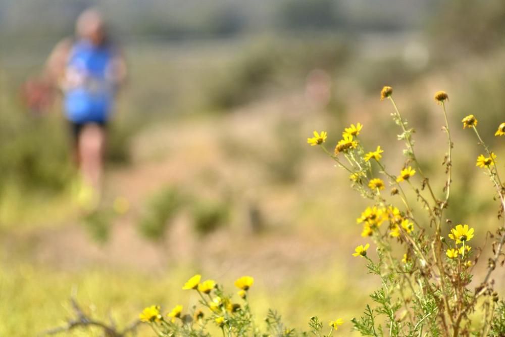 Trail de Alumbres