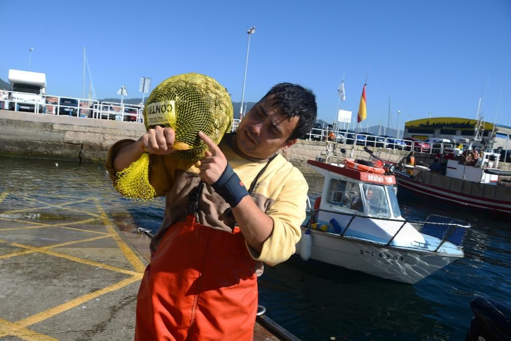 Rodeira salva el primer día del marisqueo a flote