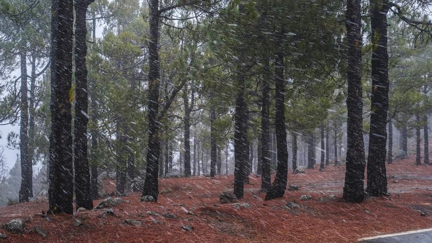 Tiempo en Gran Canaria (27/01/22)