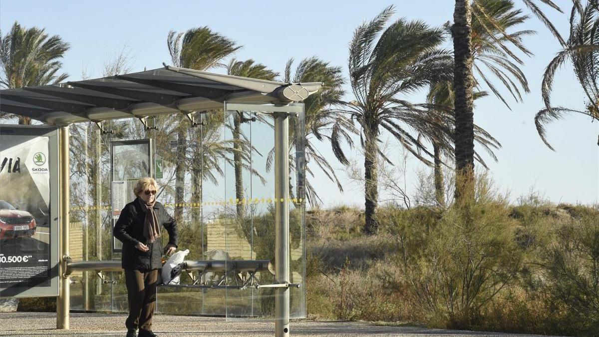 Fin de semana con frío, heladas y mucho viento en Castellón