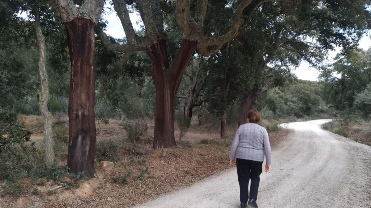 Una mujer pasea entre algunos de los alcornocales descorchados en “El Sofreral”, el alcornocal de Cerezal de Aliste. | Ch. S.