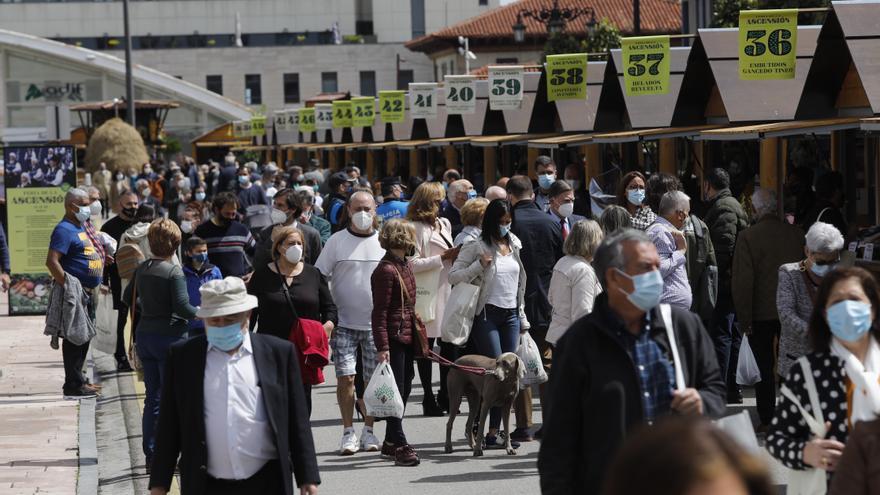 La feria de la Ascensión ganará 15 puestos con el traslado al Campo y las plazas del Antiguo
