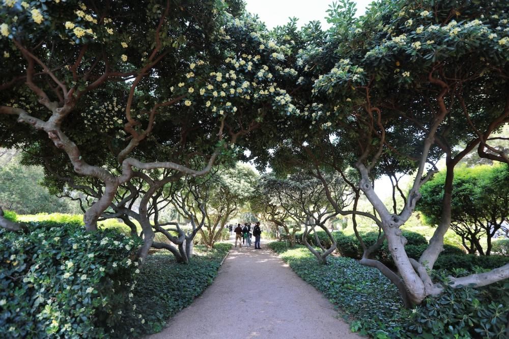 El Govern anuncia la apertura de los jardines de Marivent