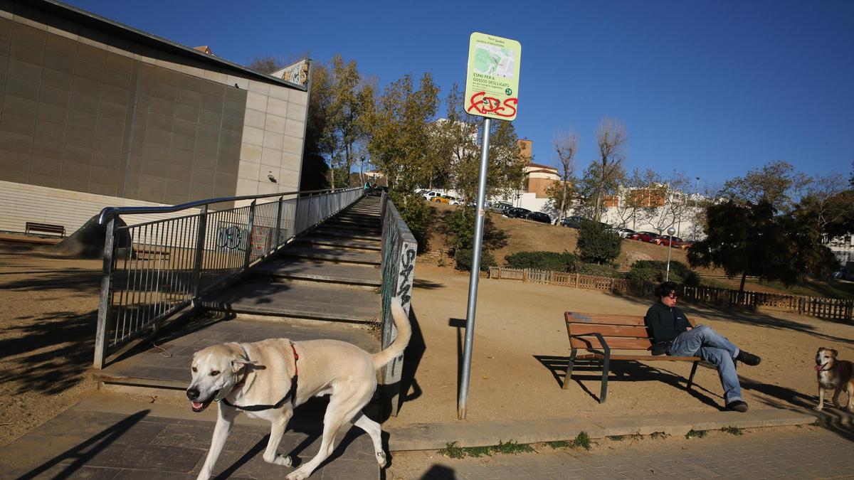 Prohibición de pasear a los perros sin correa en Barcelona