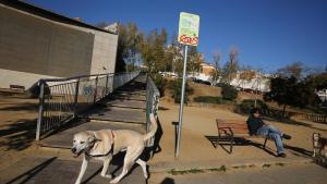 Prohibición de pasear a los perros sin correa en Barcelona